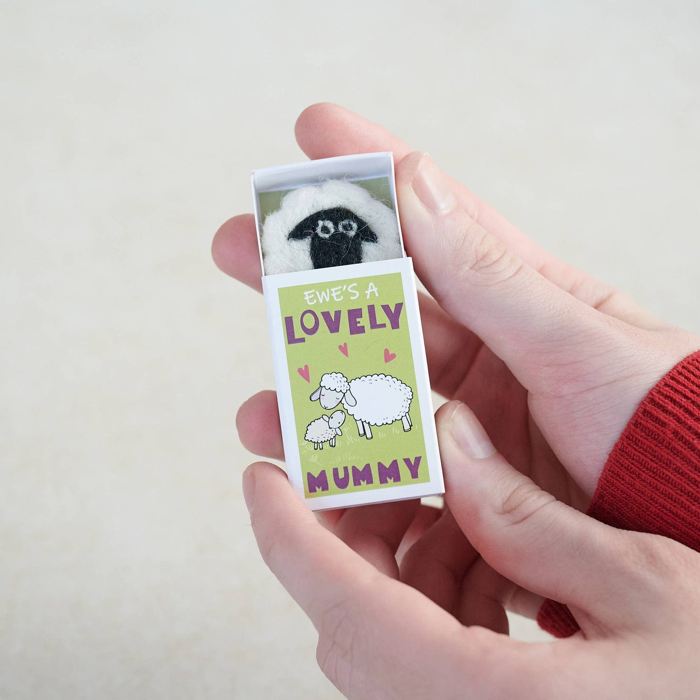 Ewe's A Lovely Mummy In A Matchbox