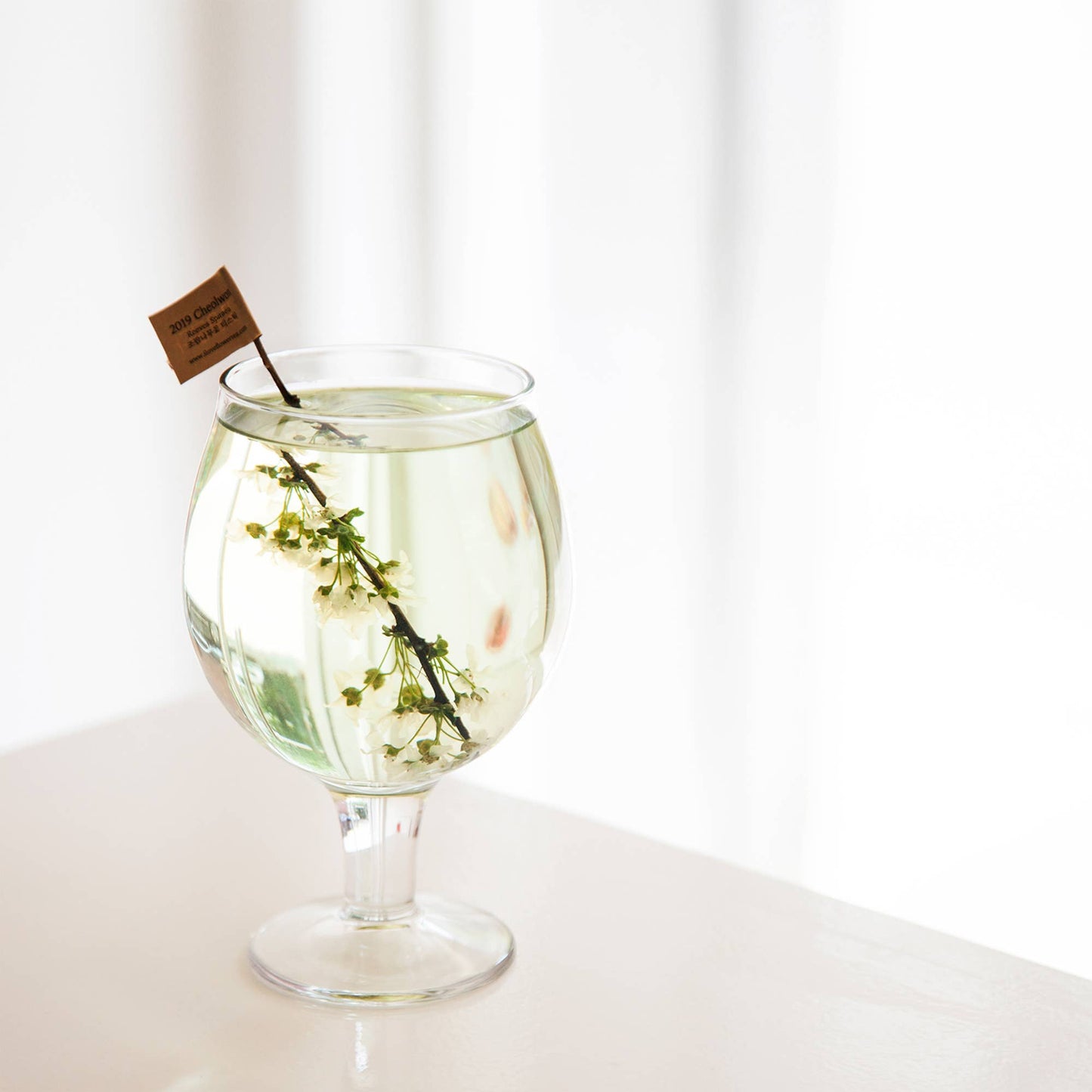 Bridal Wreath Spiraea Flower Tea Sticks